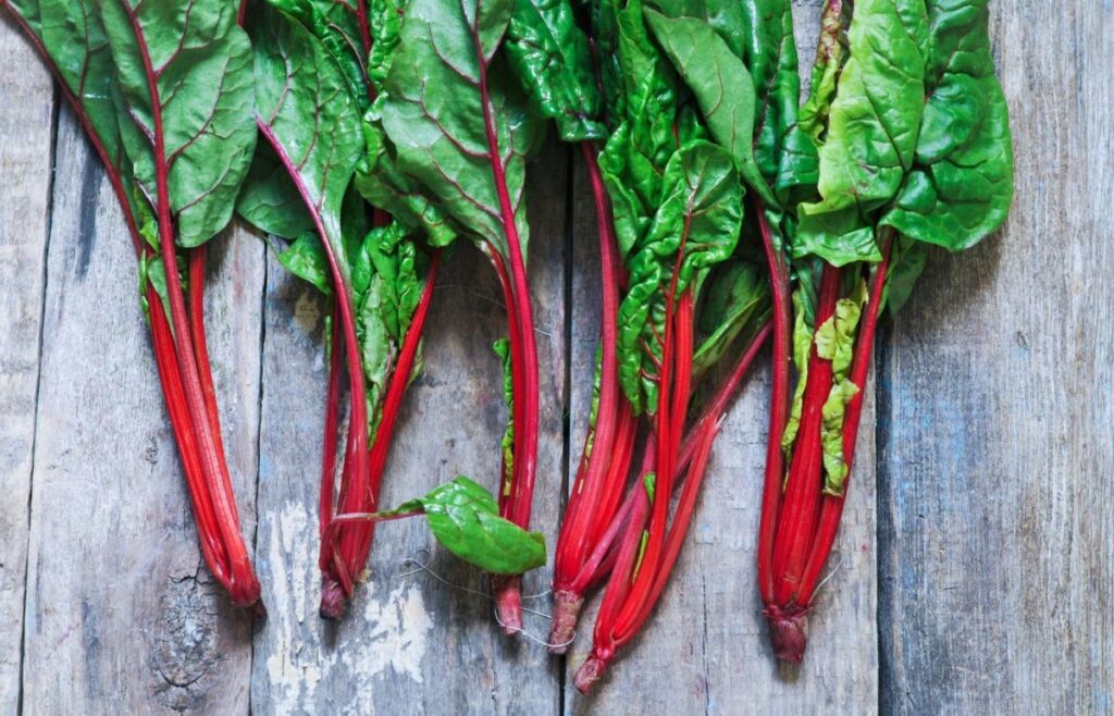 Is Red Chard The Same As Rhubarb